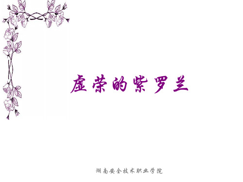 7、虚荣的紫罗兰