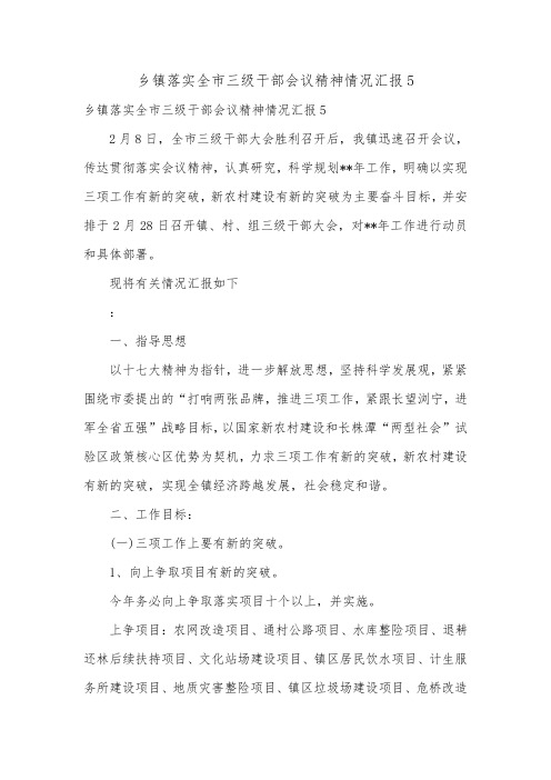 乡镇落实全市三级干部会议精神情况汇报5.doc