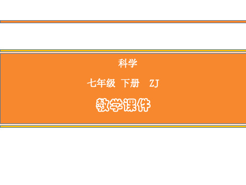 浙教版科学七年级下册课件第二章第1节 感觉世界(课时1)