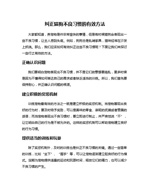 纠正猫狗不良习惯的有效方法