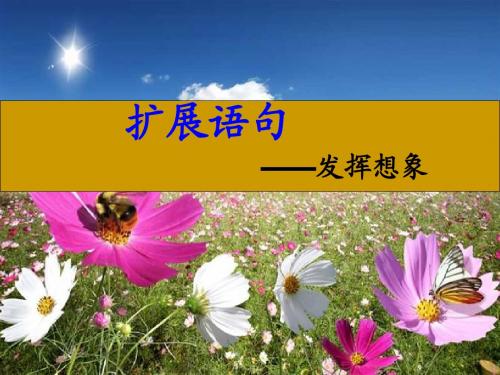 扩展语句