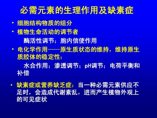 植物生理学—矿质营养2