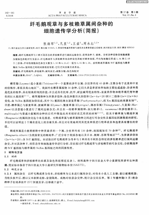 纤毛鹅观草与多枝赖草属间杂种的细胞遗传学分析(简报)