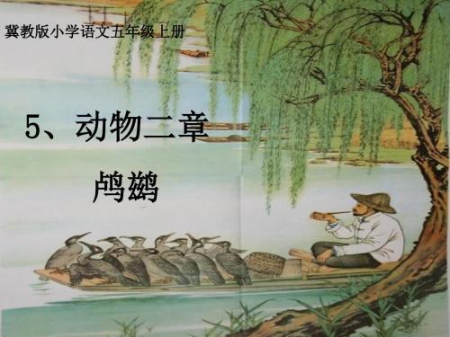 5、动物二章_鸬鹚