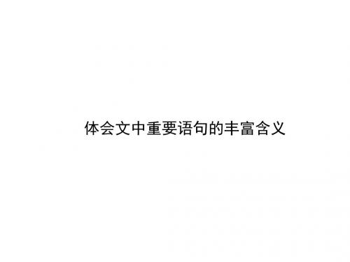 高中 高考专项复习 体会文中重要语句的丰富含义