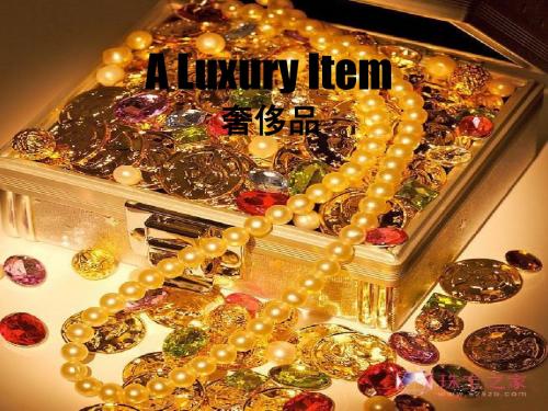 A Luxury Item 奢侈品
