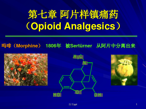 阿片样镇痛药OpioidAnalg