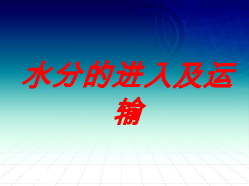 水分进入植物体的途径PPT课件 人教版