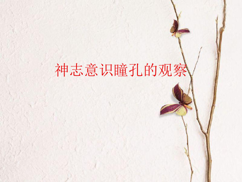 神志意识瞳孔观察(罗银春)
