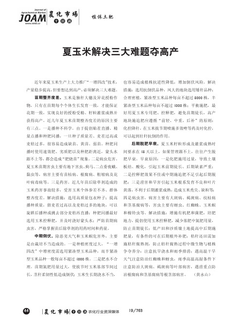 夏玉米解决三大难题夺高产