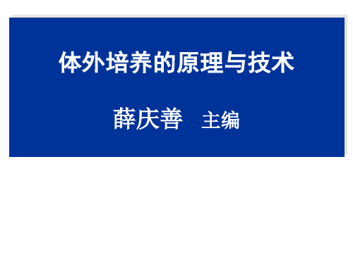 体外培养物的生长生物学