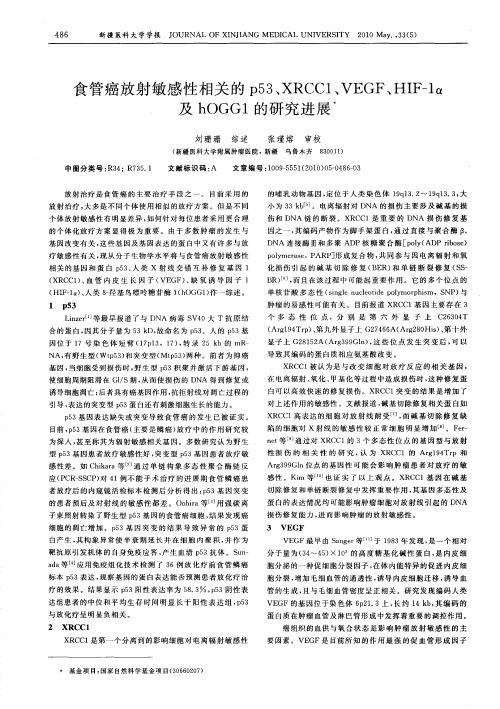 食管癌放射敏感性相关的p53、XRCC1、VEGF、HIF-1α及hOGG1的研究进展
