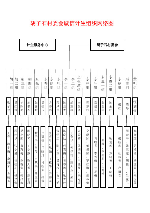 胡子石村诚信计生网络图