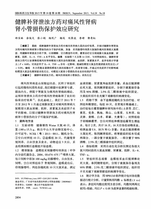 健脾补肾泄浊方药对痛风性肾病肾小管损伤保护效应研究