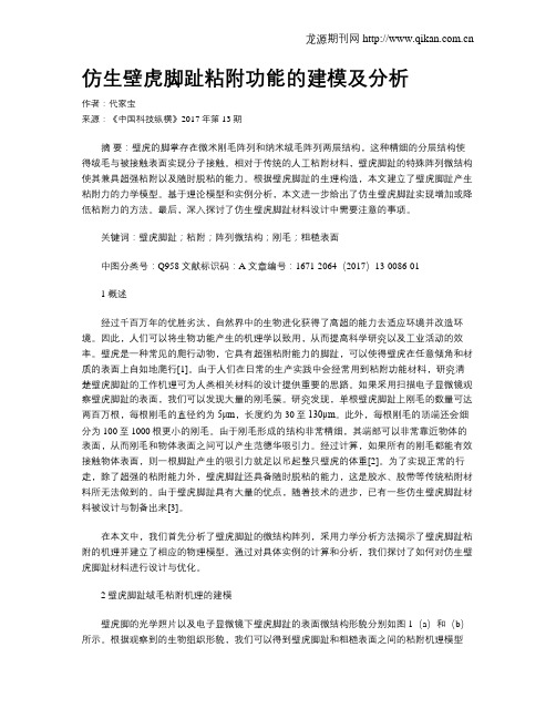 仿生壁虎脚趾粘附功能的建模及分析