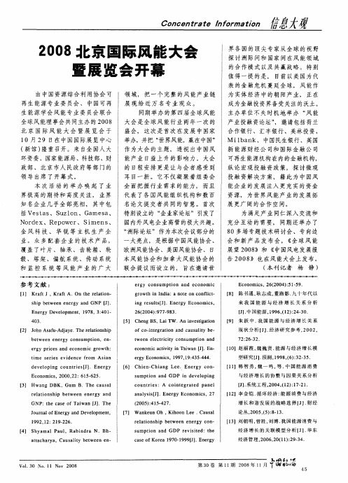 2008北京国际风能大会暨展览会开幕