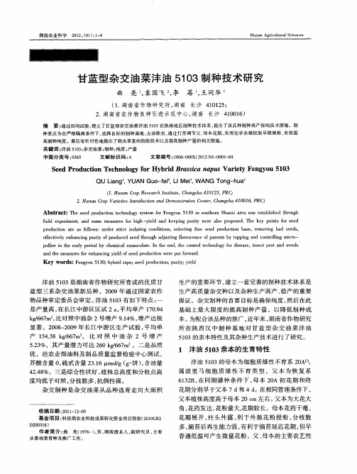 甘蓝型杂交油菜沣油5103制种技术研究