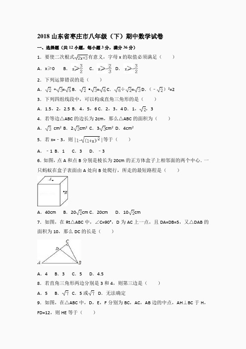 2018山东省枣庄市八年级