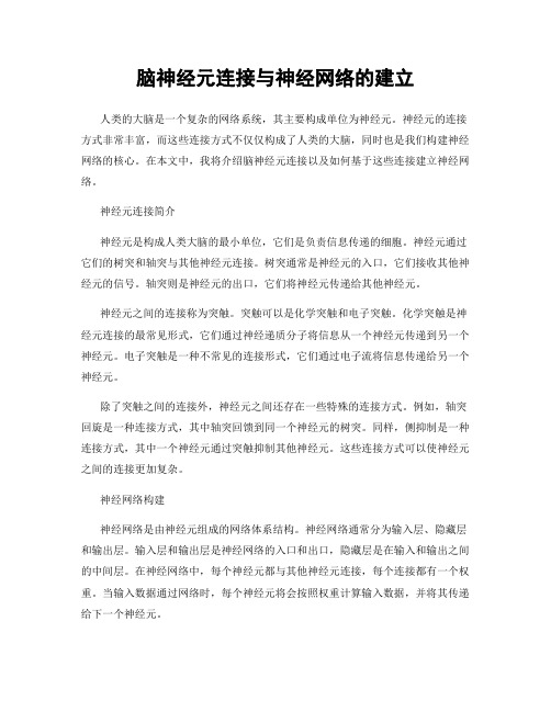 脑神经元连接与神经网络的建立