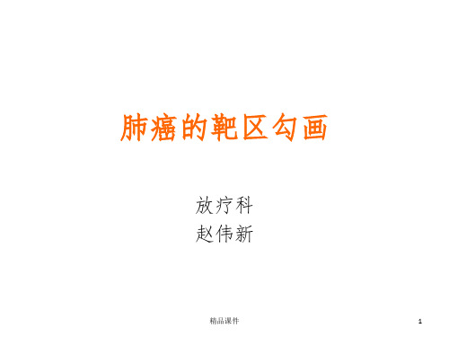 肺癌的靶区勾画(赵伟新)PPT课件