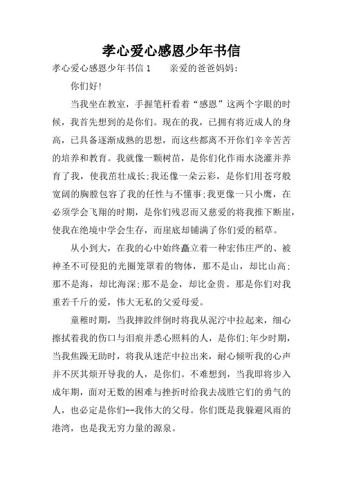 孝心爱心感恩少年书信