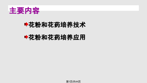 花药培养和花粉培养PPT课件
