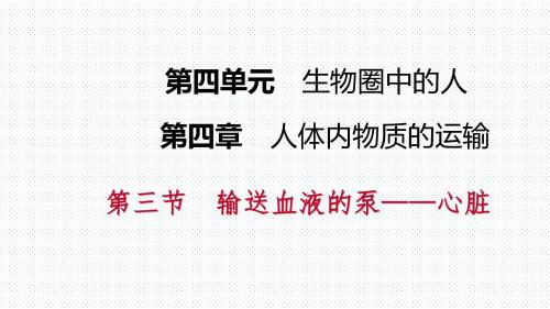 人教版第四章第三节   第1课时 心脏的结构和功能导学课件(共15张PPT)
