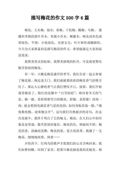 描写梅花的作文500字6篇