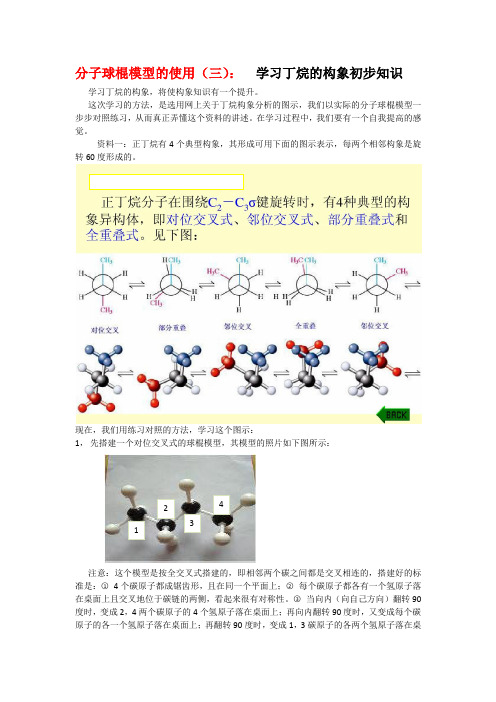 分子球棍模型的使用(三)