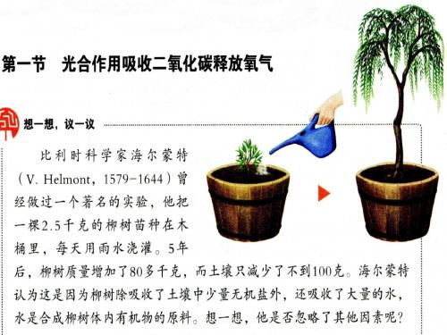 第一节  光合作用吸收二氧化碳释放氧气(共42张PPT)