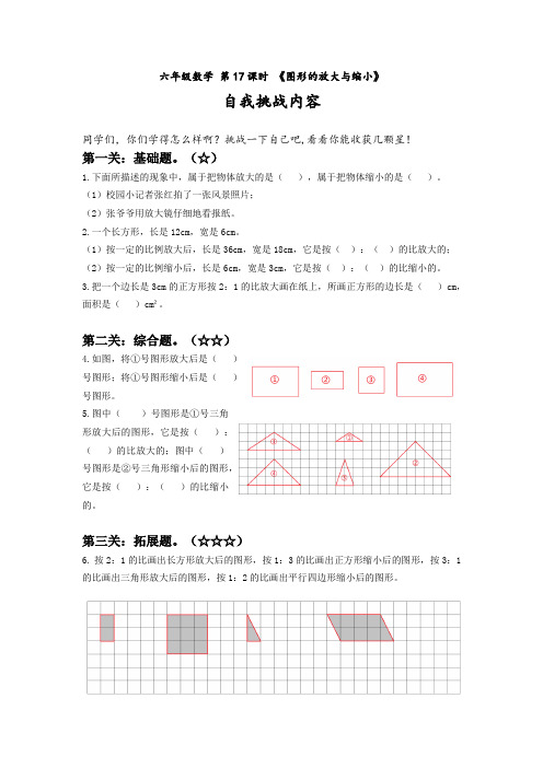 六年级数学 图形的放大与缩小含答案