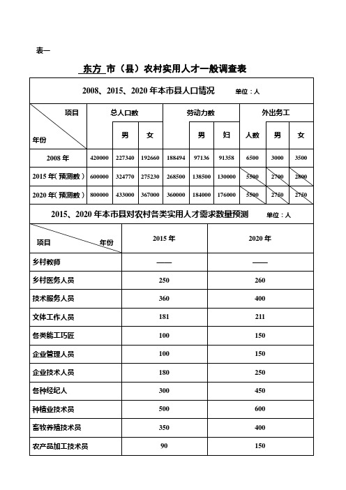 市(县)农村实用人才一般调查表