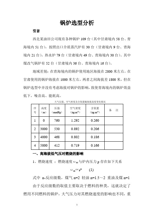 锅炉选型分析