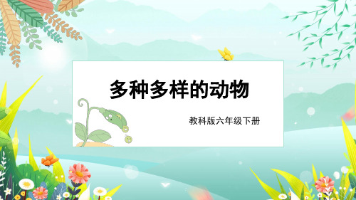 教科版六年级科学下册《 多种多样的动物》PPT优质课件