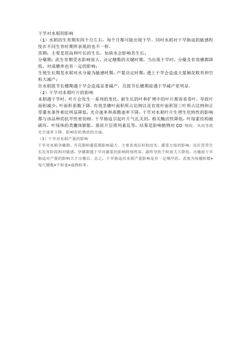干旱对水稻的影响