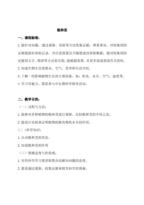 根和茎  教案