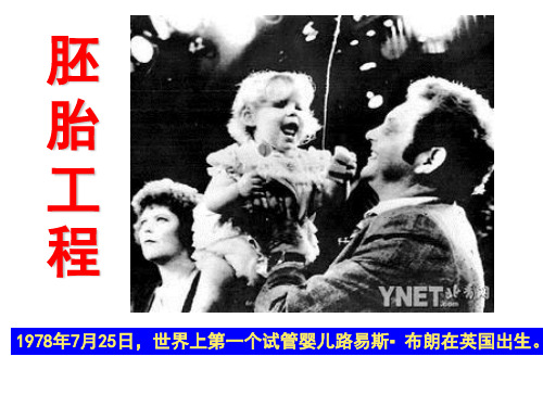 从受精卵谈起(好)