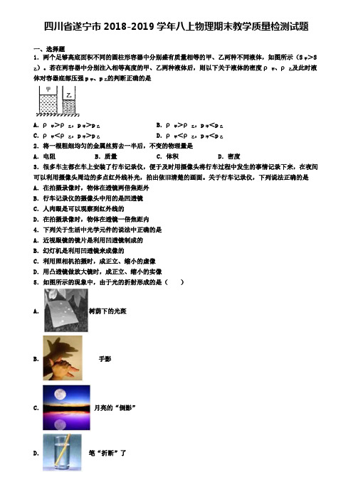 四川省遂宁市2018-2019学年八上物理期末教学质量检测试题