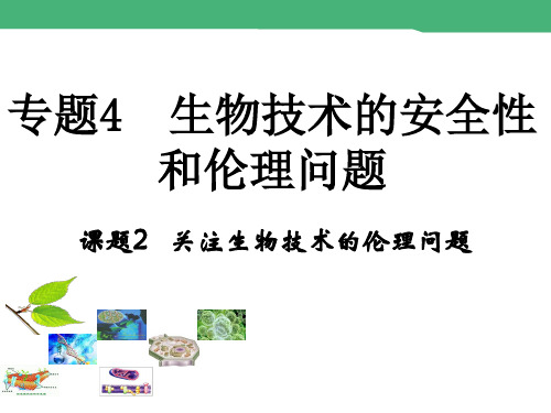 人教版高中生物选修3专题4第2节关注生物技术的伦理问题(共18张PPT)