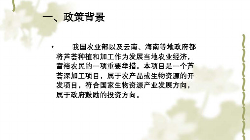 项目投资案例分析课件