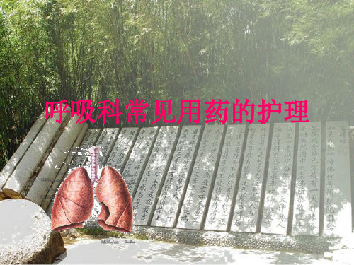 呼吸科常见用药的护理