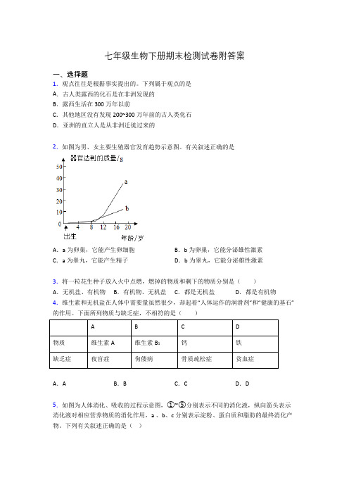 七年级生物下册期末检测试卷附答案