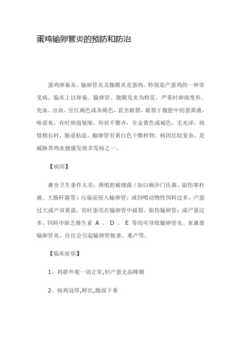 蛋鸡输卵管炎的预防和防治