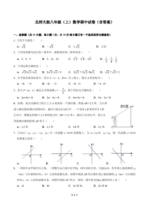 北师大版八年级(上)数学期中试卷(含答案)