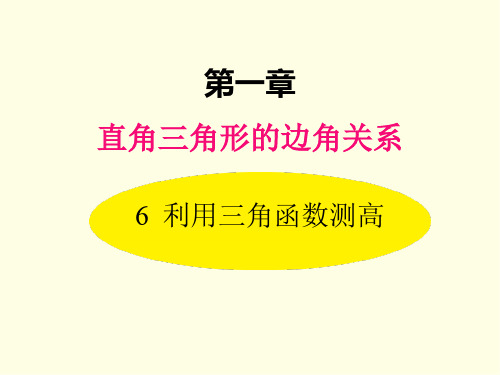 九年级下册数学课件(北师版)利用三角函数测高
