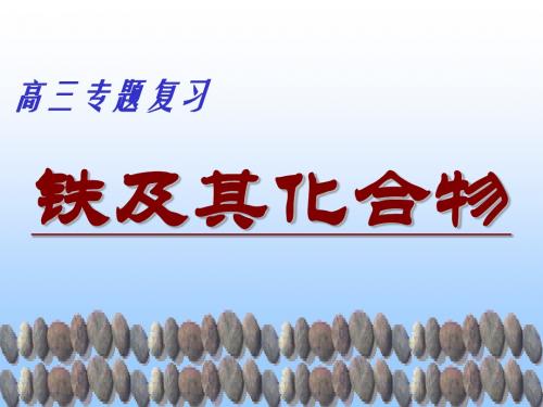 高三专题复习铁及其化合物-文档资料