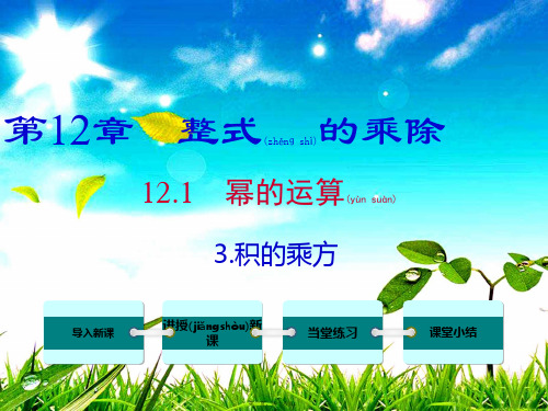 八年级数学上册 第12章 整式的乘除 12.1 幂的运算 3 积的乘方课件华东师大级上册数学课件