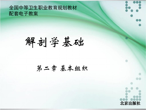 第二章 基本组织 解剖学基础中职课件