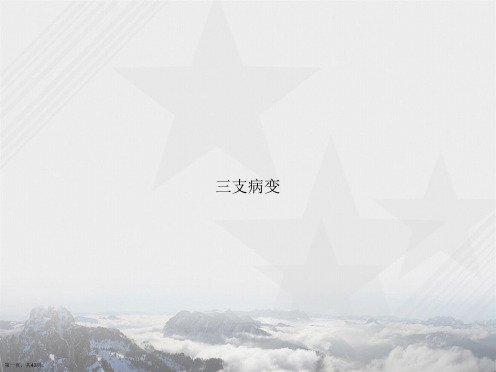 三支病变讲课文档