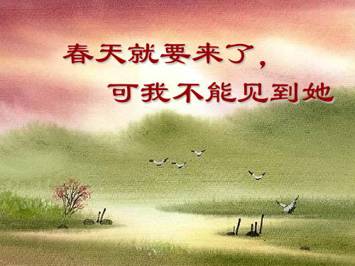考纲解读_锤炼思想,让语言有文采_公开课